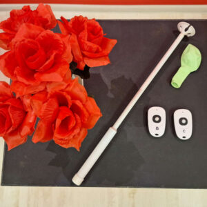Magical Balloon Popping Stick and Remote-Controlled Flower Pot